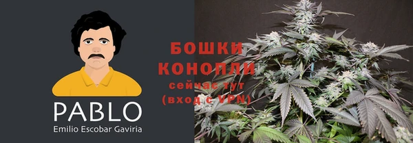Альфа ПВП Покачи