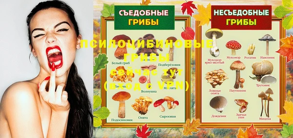 ПСИЛОЦИБИНОВЫЕ ГРИБЫ Покров