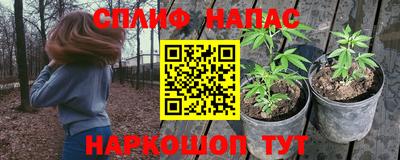 прущие крисы Дубна