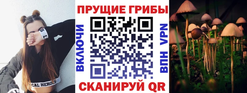 ссылка на мегу   Тобольск  Галлюциногенные грибы мицелий  где продают  