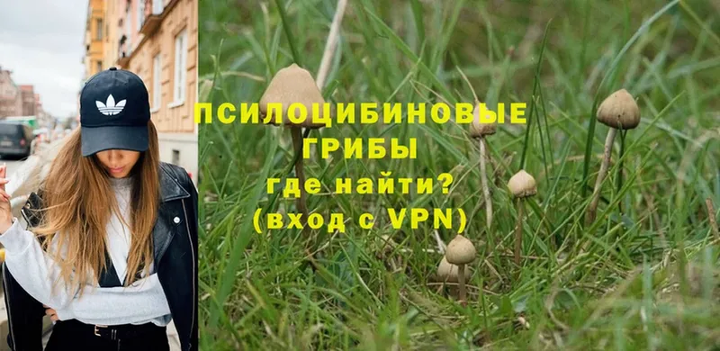 Галлюциногенные грибы GOLDEN TEACHER  OMG маркетплейс  Тобольск 